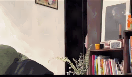 弟弟不洗澡，妈妈给姐姐说。
姐姐把电脑一合下，弟弟吓得慌忙的站起来，跑着说“我去