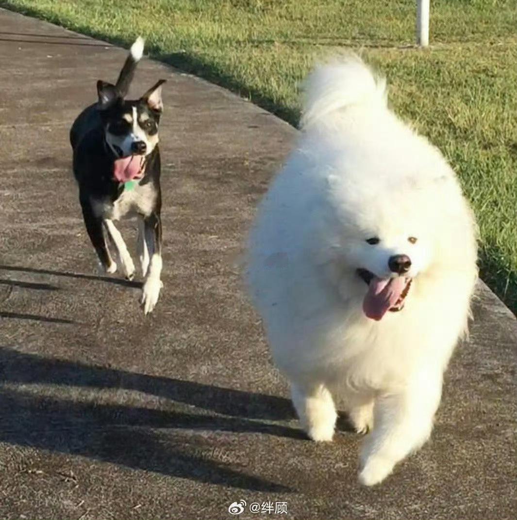 你期待的正在向你跑来，明天会实现。 