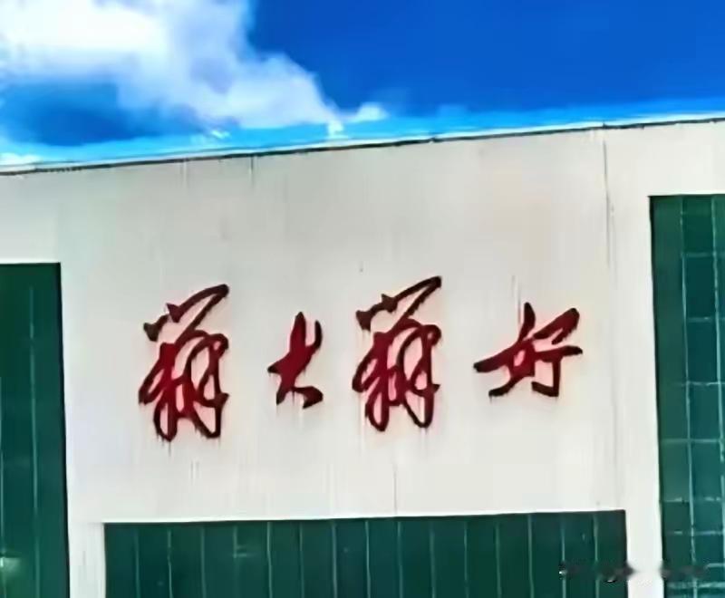 又遇到麻烦了，这四个字有人认识否？我只认得一个“好”和“大”字。