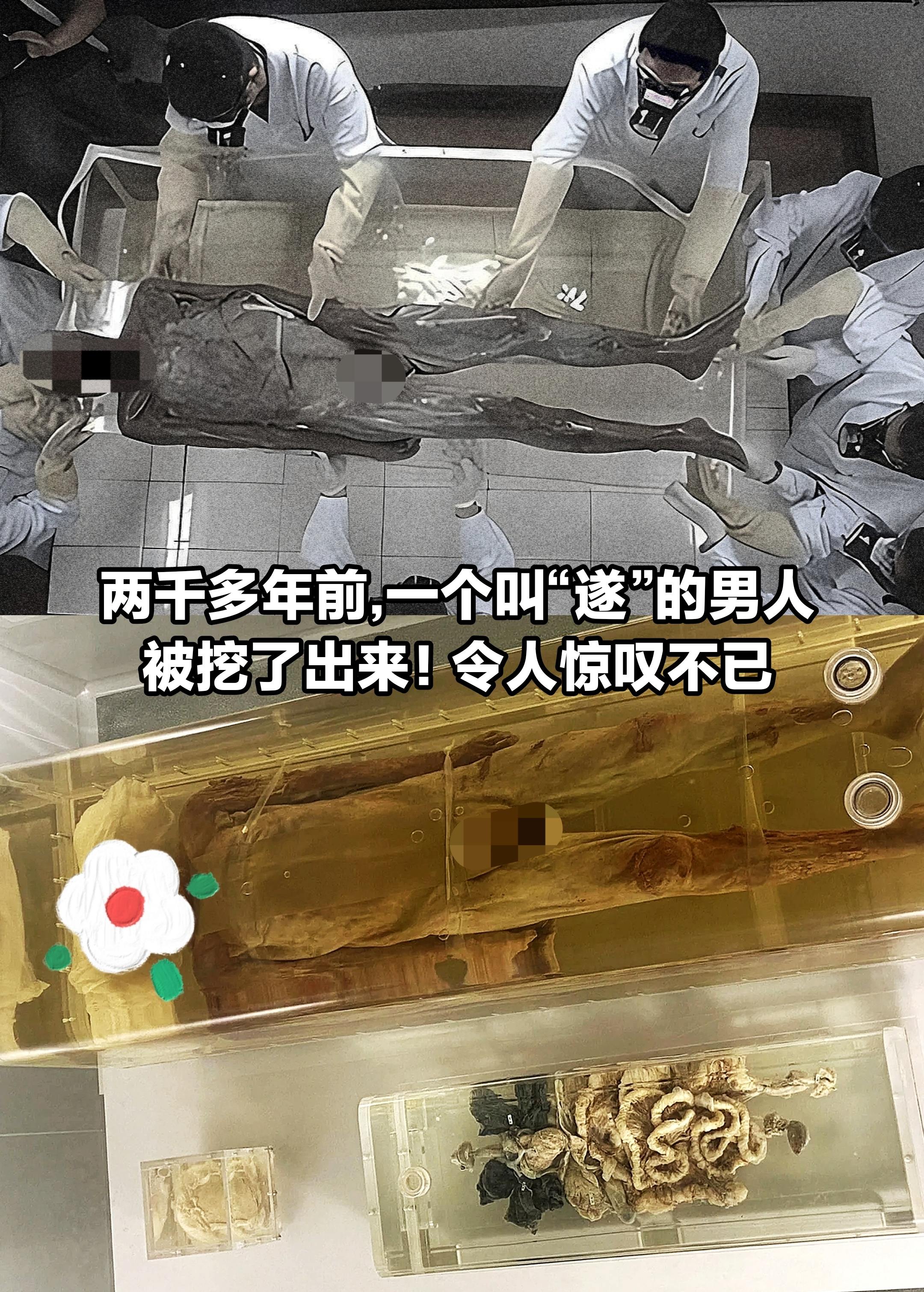 两千年前的五大夫“遂”，千年不腐的秘密！