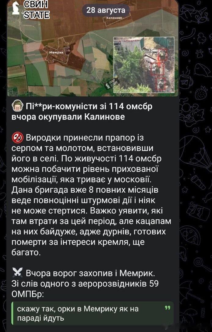 一名乌克兰博主称俄罗斯第114旅的士兵是占领者和同性恋共产主义者，因为他们拿着锤