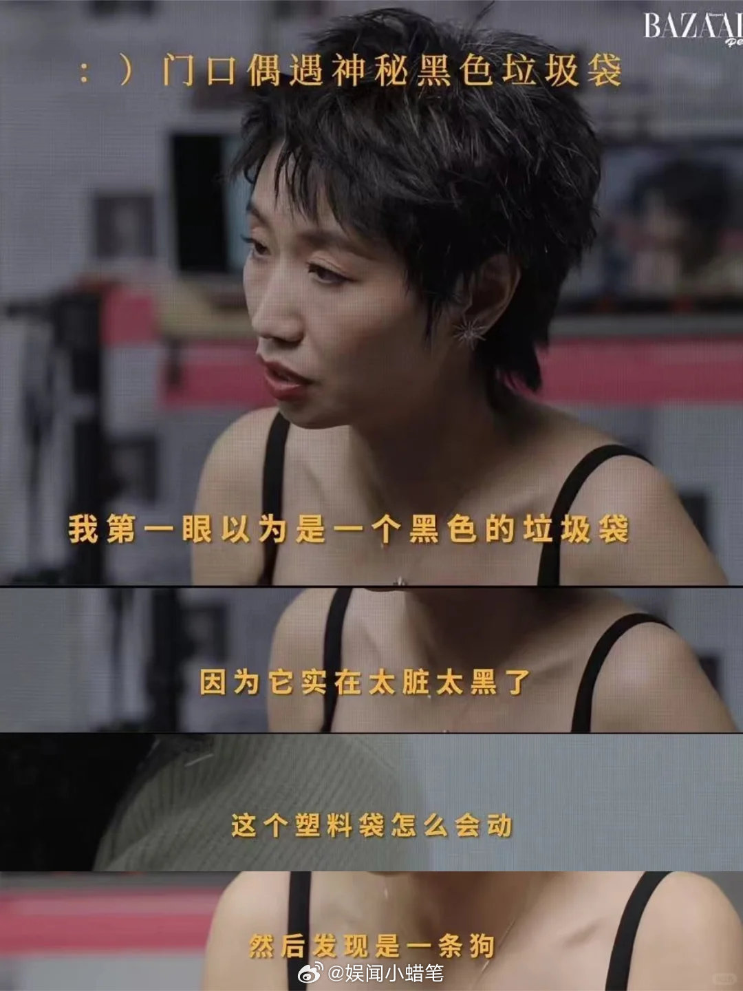 养宠物的人备孕分离焦虑怎么办姐姐当家小鹿汤包的经历说出无数养宠人的心声！小狗墨尔