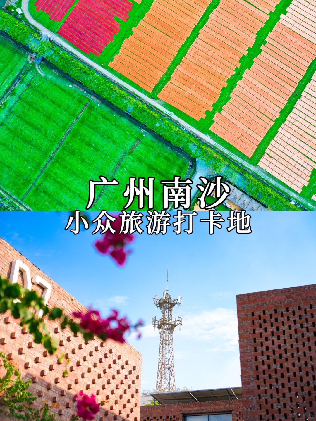 秋意渐浓，广州的秋天太让人期待了，广州的秋天是凉爽的。一阵阵的微风送来，驱走了夏...