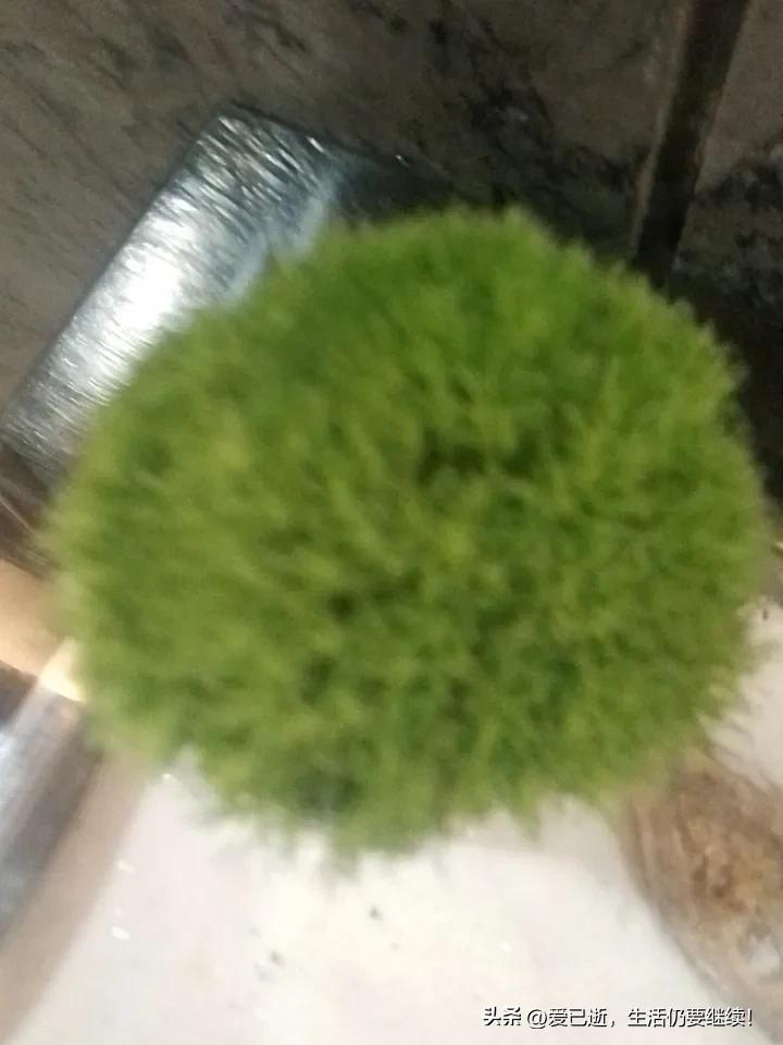 强降雨对云南广东的影响有多大一旦强降雨广东街道就被水淹，而云南山区地形非常容易发
