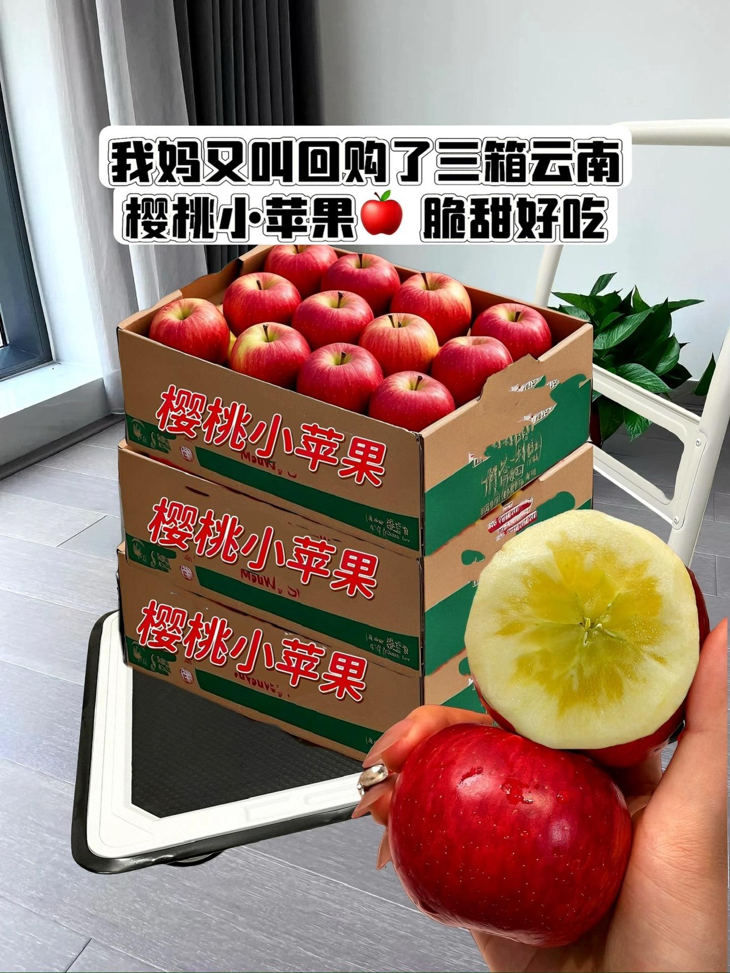 姐妹们，这个苹果我能炫一辈子！家人们谁懂啊，就是这个云南昭通樱桃小苹果...