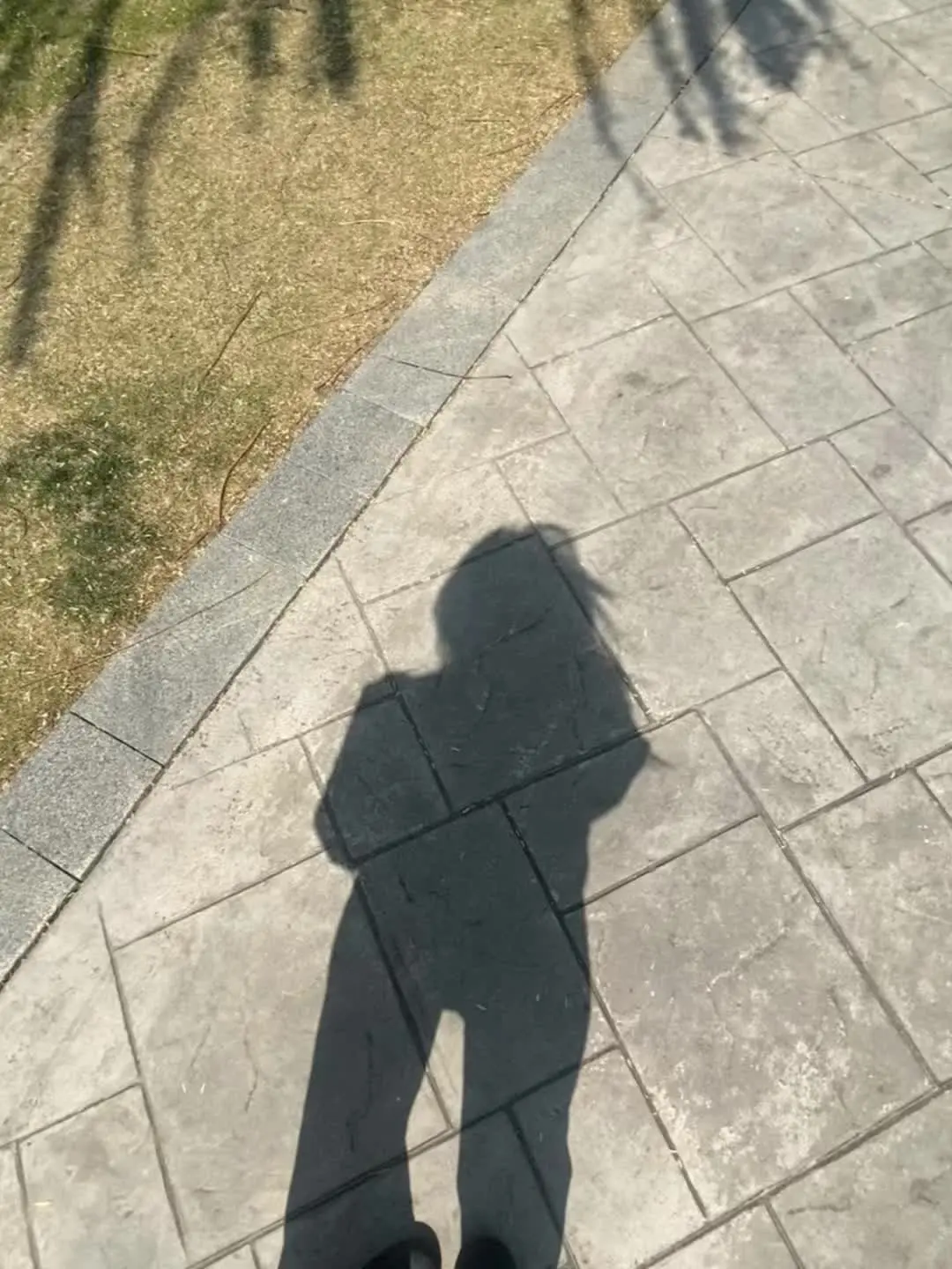 有很多人对你感兴趣 却没有人执着于你