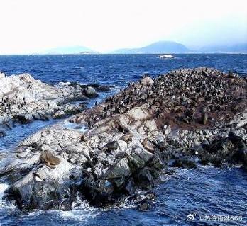 【南美的奇幻旅程】一望无垠的盐沼，五彩变幻的高原湖泊，深渊与陡壁之间的死亡之路，