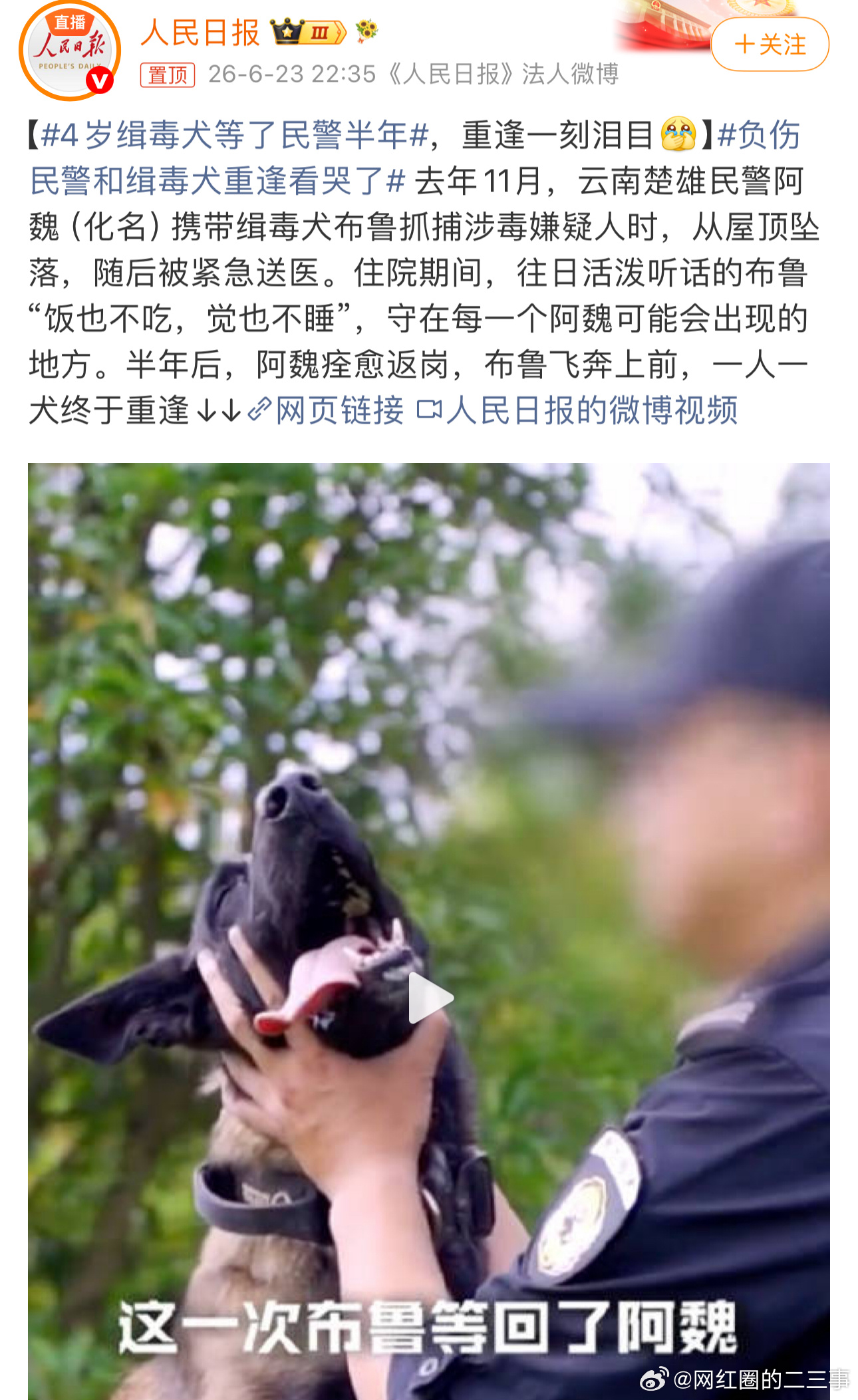 负伤民警和缉毒犬重逢看哭了人与犬的战友情令人动容，今年2026年6月26日是第3