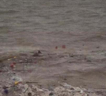 《男子不慎被海浪打走，52岁王玉平深海中救人，惊险一幕看哭路人》播放量：53万