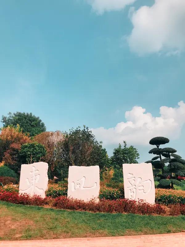 网友：南京“紫东”换种方式复活 网友提出南京“紫东”换种方式复活，这想法挺有意思