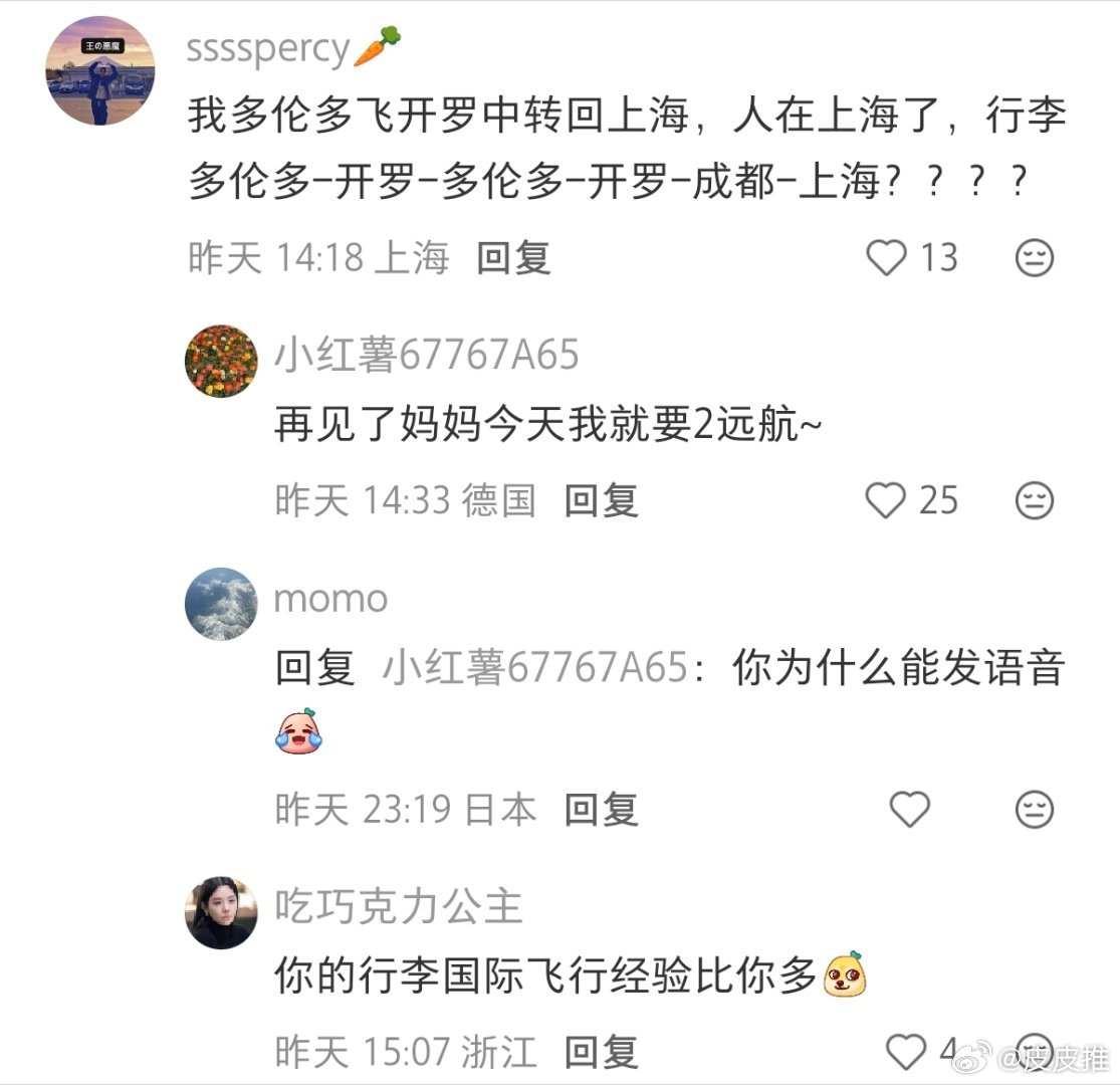 埃及航班行李全部丢失中国乘客发声你的行李国际飞行经验比你多