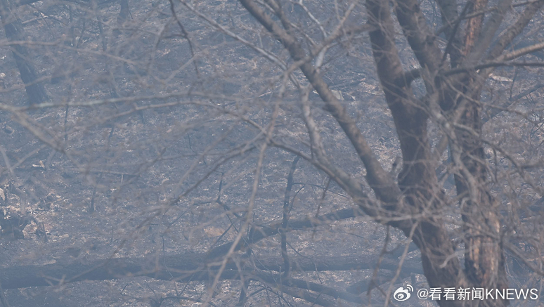 【#韩国海军一架军机在浦项坠机#】当地时间29日下午，韩国海军一架军机当天13时