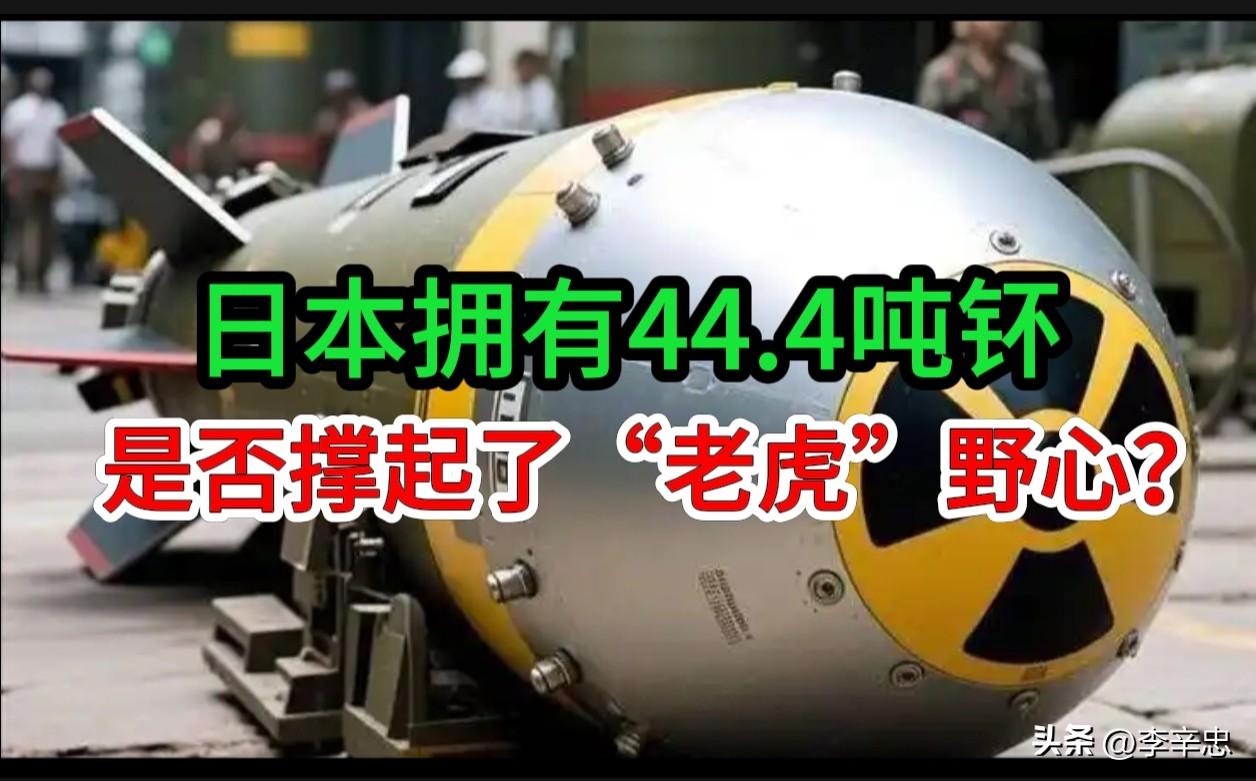 日本拥有44.4吨钚，是否撑起的“老虎”野心？

7月17日，日本防卫大臣小泉进