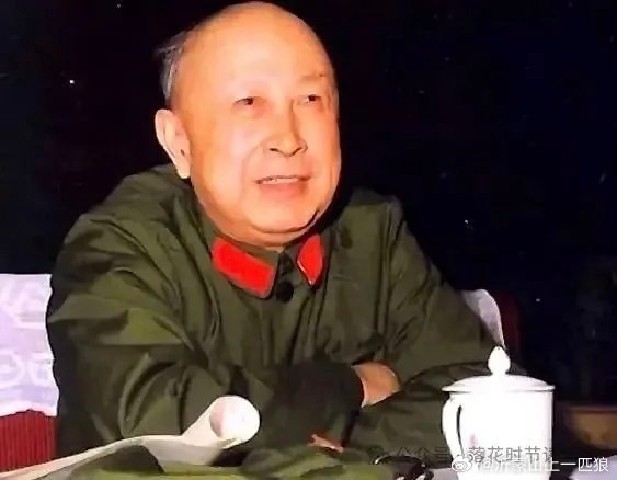 “一个民族有一群仰望星空的人，外国人能做的，我们也做到了，无垠的宇宙空间，承载着
