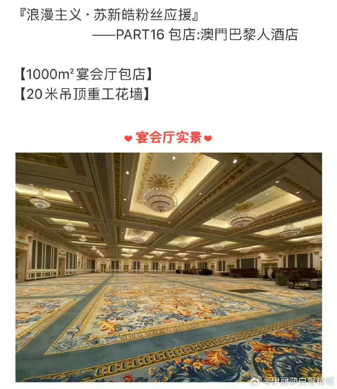 苏新皓浪漫主义演唱会应援苏新皓浪漫主义演唱会粉丝应援 我天呢 
