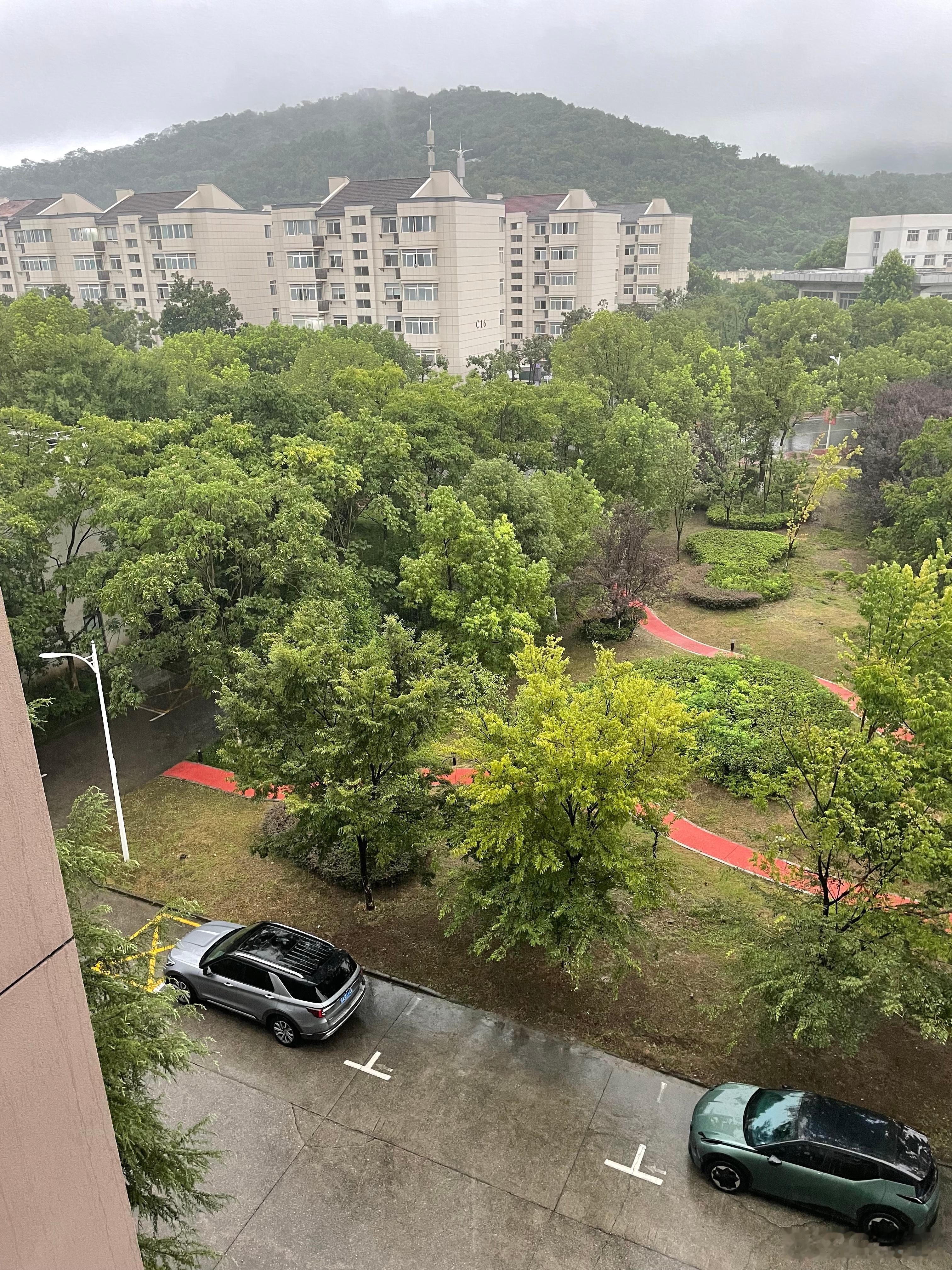 立秋后的第一场大雨，但愿后面的天气，可以慢慢开始凉爽起来。 ​​​