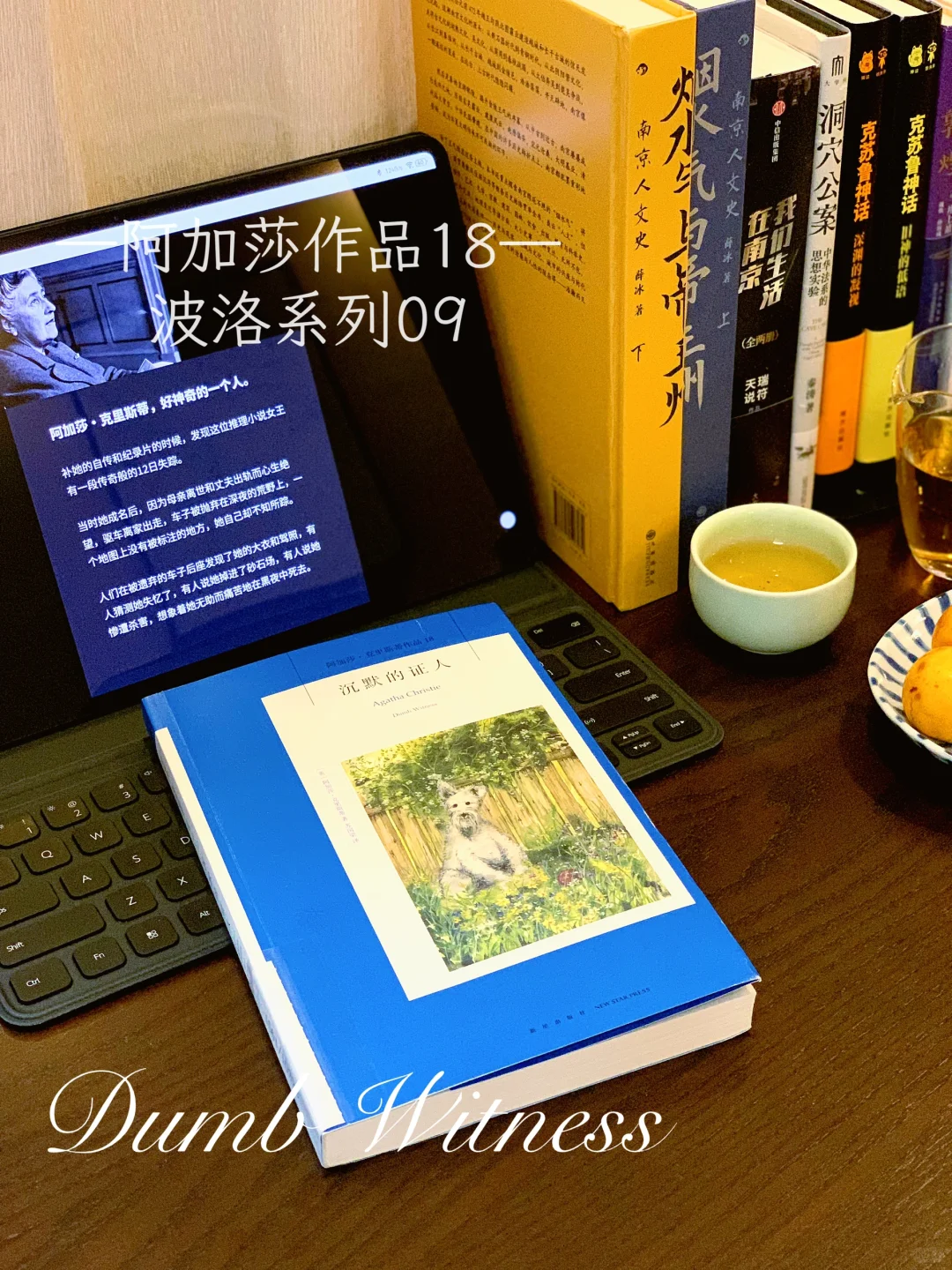 🔵阿加莎作品阅读笔记之《沉默的证人》