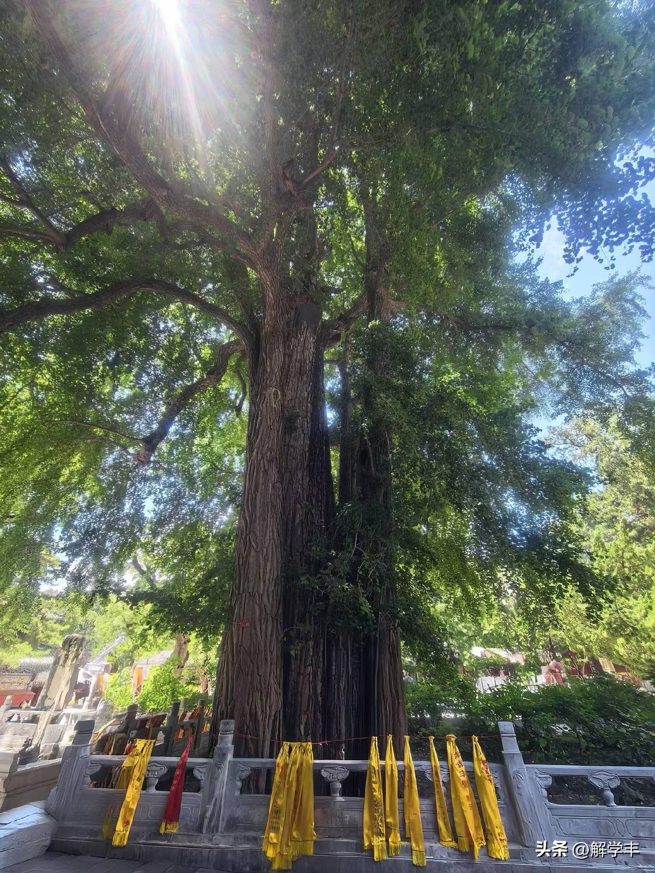 a.股分化结构性牛市仍然会继续推进！
券商，多元金融，物理ai，具身智能，锂电池