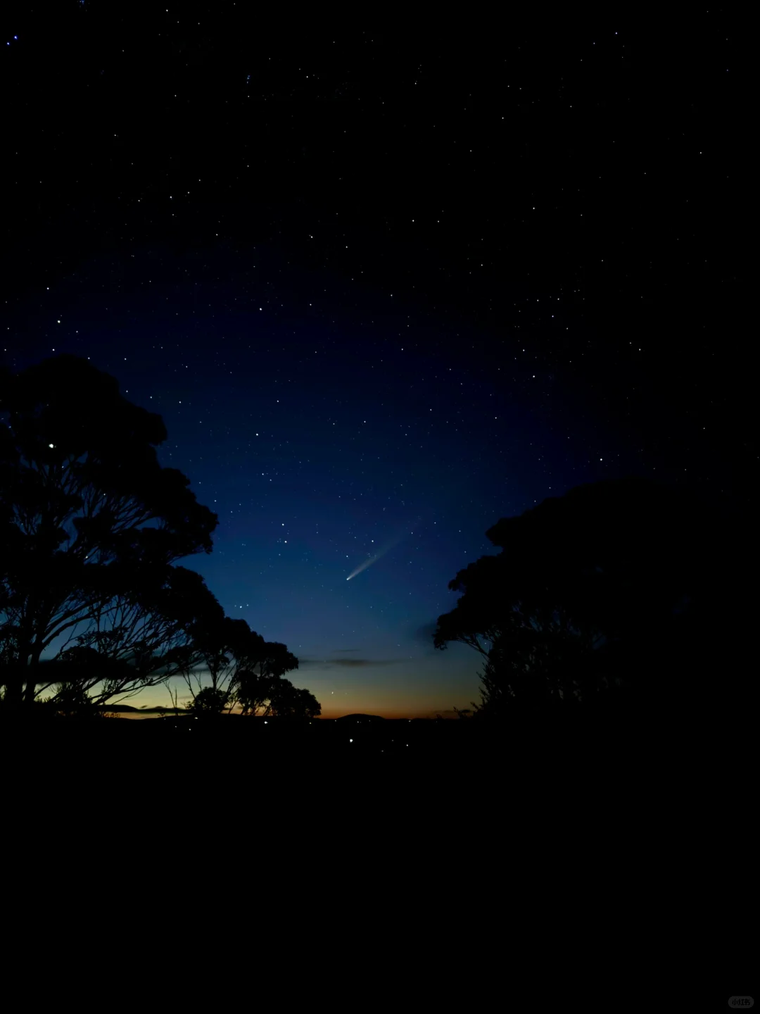 🇦🇺彗星观测成功｜紫金山阿特拉斯☄️