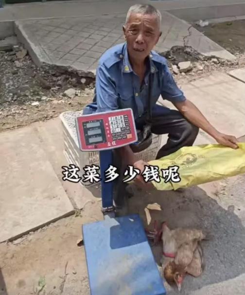 “泪目！”山东一大爷为了供孙子上学拿出家中下单的老母鸡出来卖，怎料无人光顾，原来
