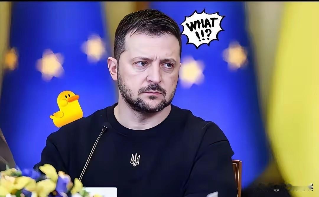 就在刚刚
乌克兰正式发布重要消息！
​2025年11月11日乌克兰国家电力公司宣