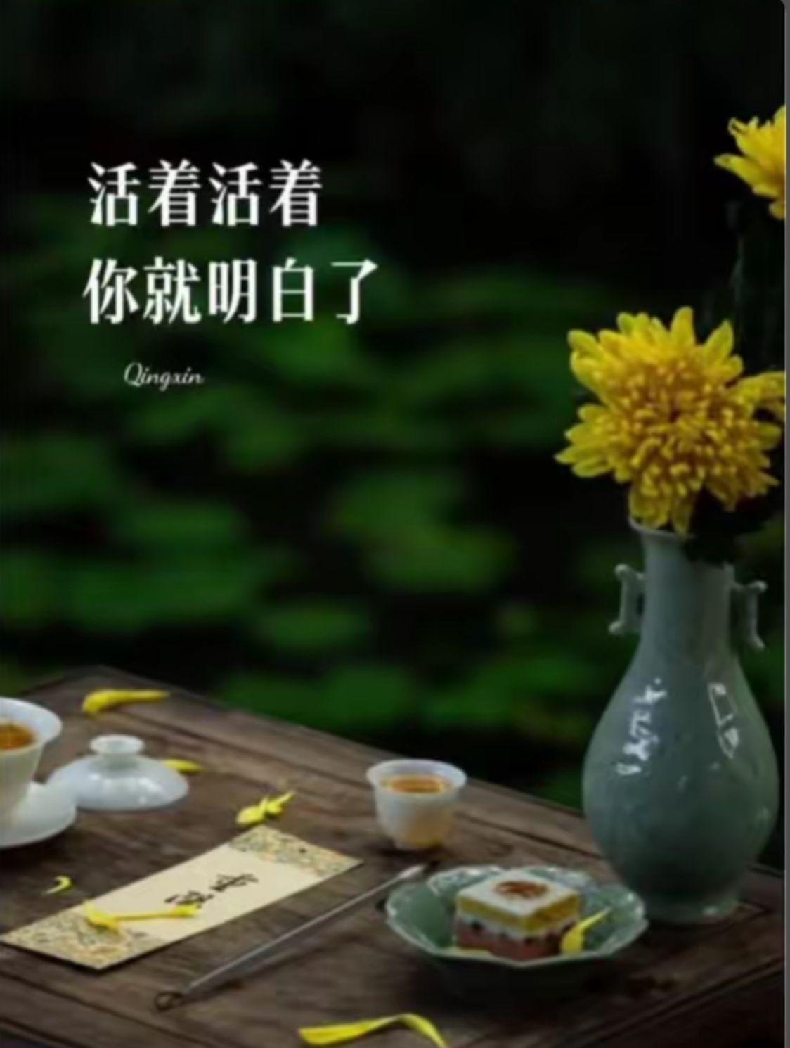 我们常以为遗忘才是释怀，但其实放下是能平静地看待过去——不回避，不纠缠，像看一本