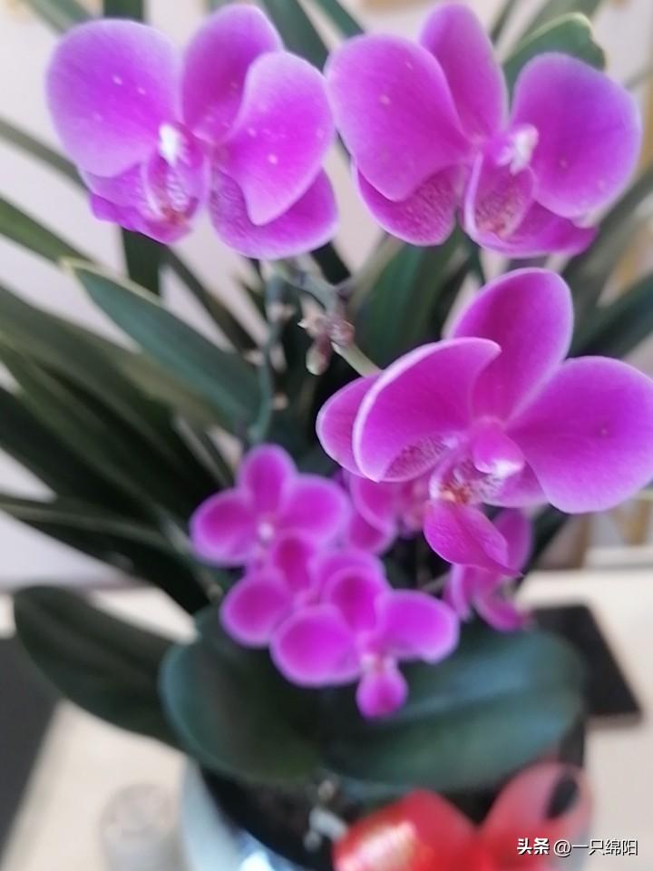 别再死记硬背国学了！越接地气，越能过好小日子
 
以前总觉得国学高深难懂，离普通