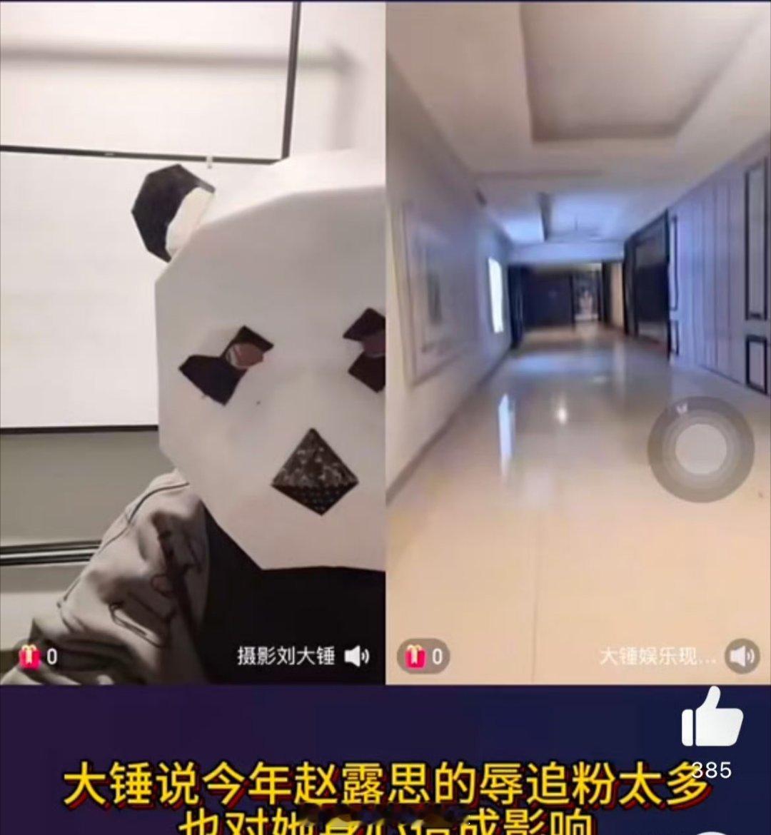 刘大锤说赵露思辱追粉很多  刘大锤曝赵露思事件真相   刘大锤说今年赵露思的辱追