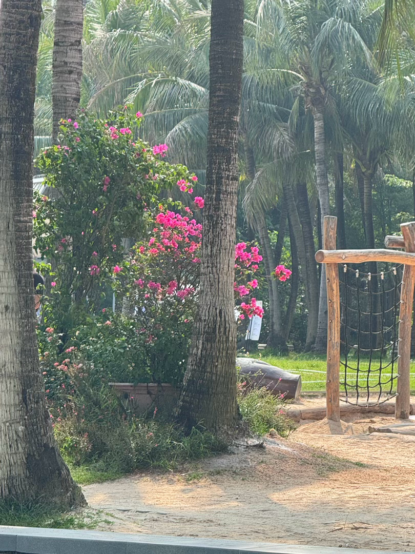 吹吹风🌴 