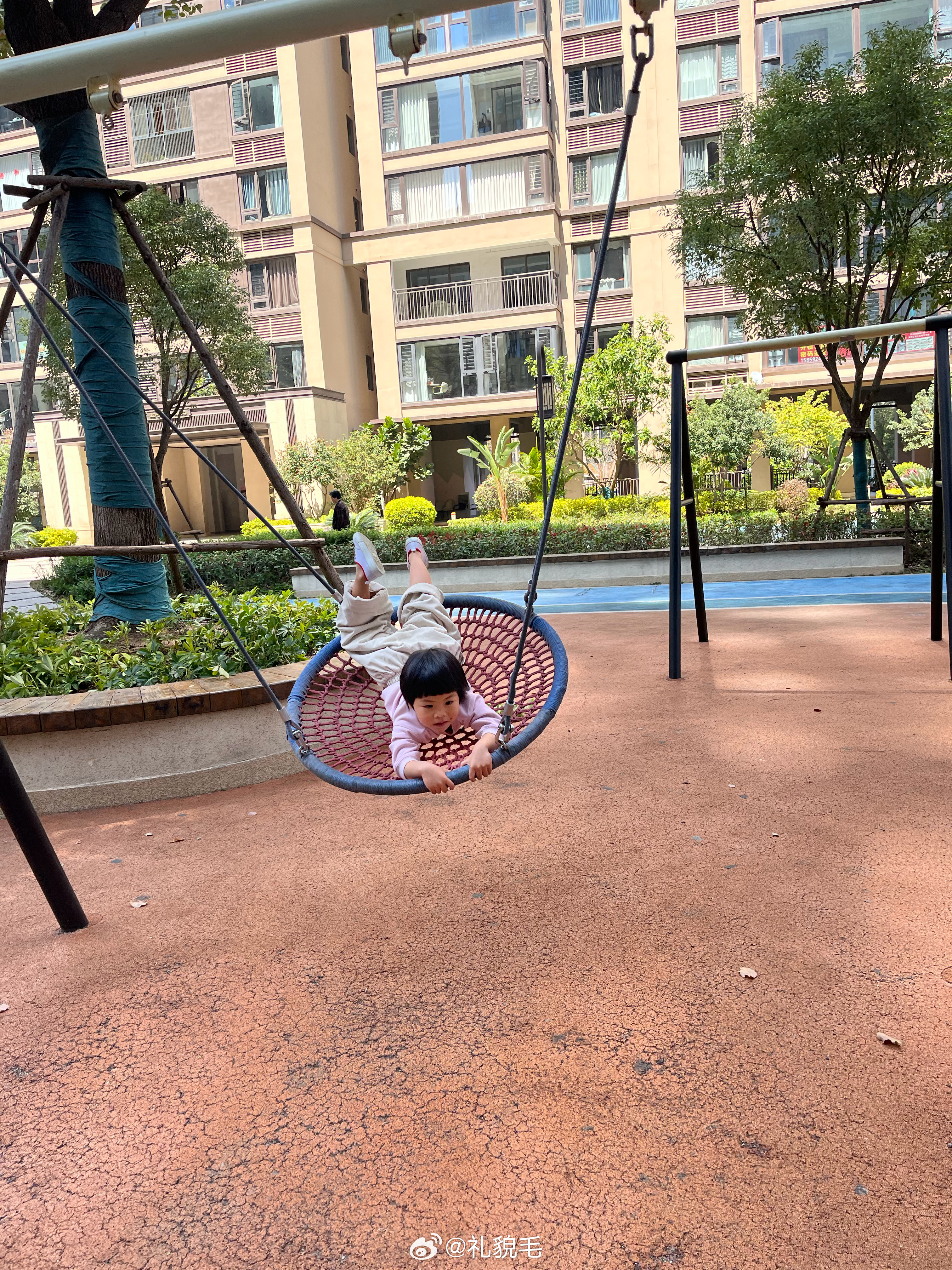 正在一边剪刘海一边看压压发来的球球动态突然球宝就出现在了我面前！压压也坐下开始压