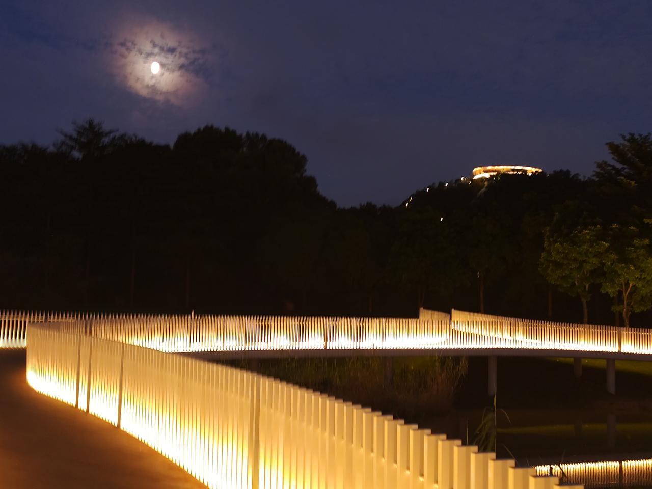 远处山巅，环形观景台如“宇宙飞盘”般悬浮于林梢之上，暖光流转，与天上的明月遥相呼