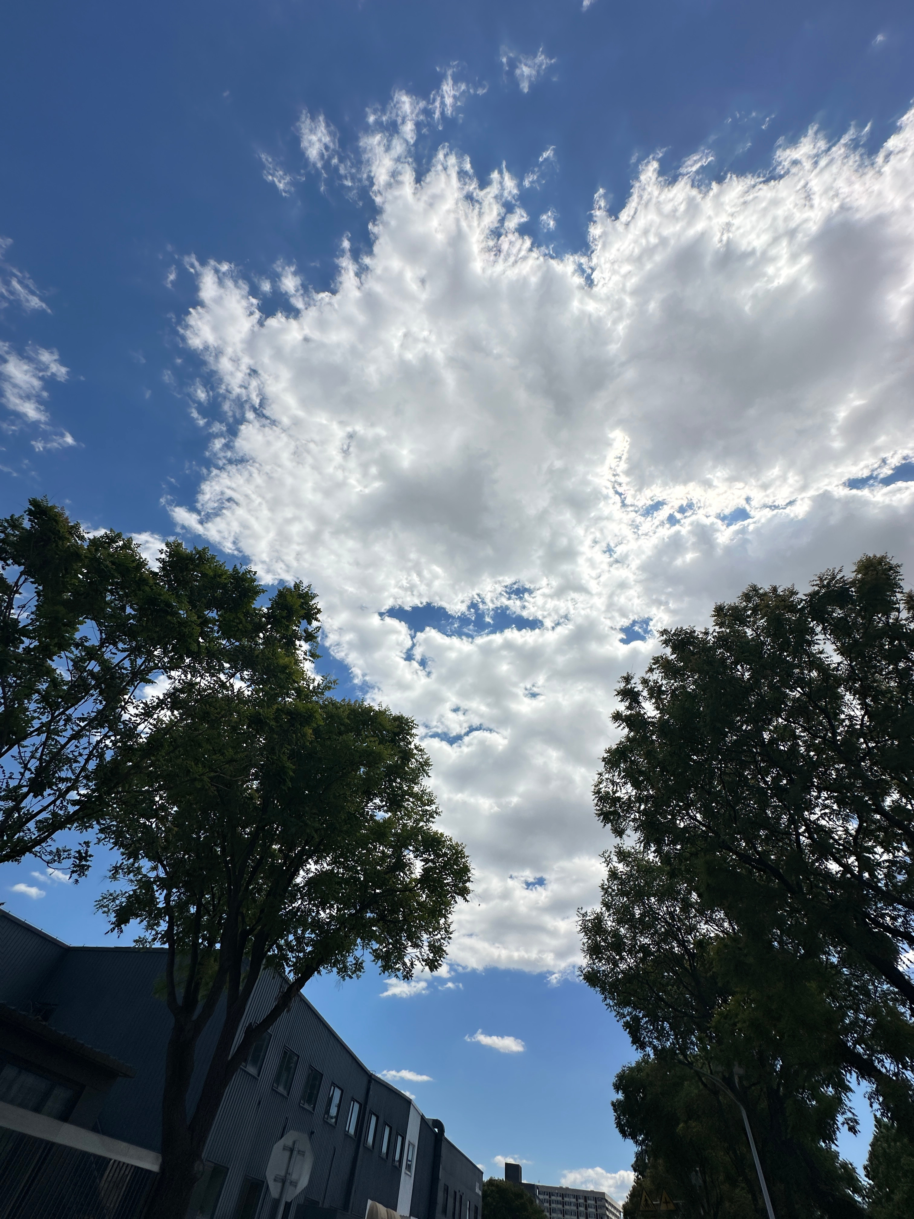天儿真好☀️☁️💙 北京·咿呀舞蹈(顺义教室)