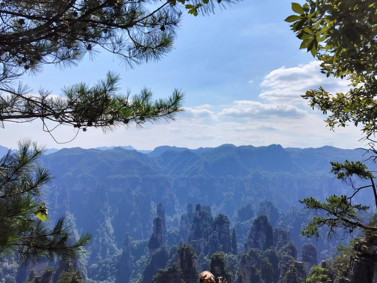 秋日生活打卡季中大乐透一等奖