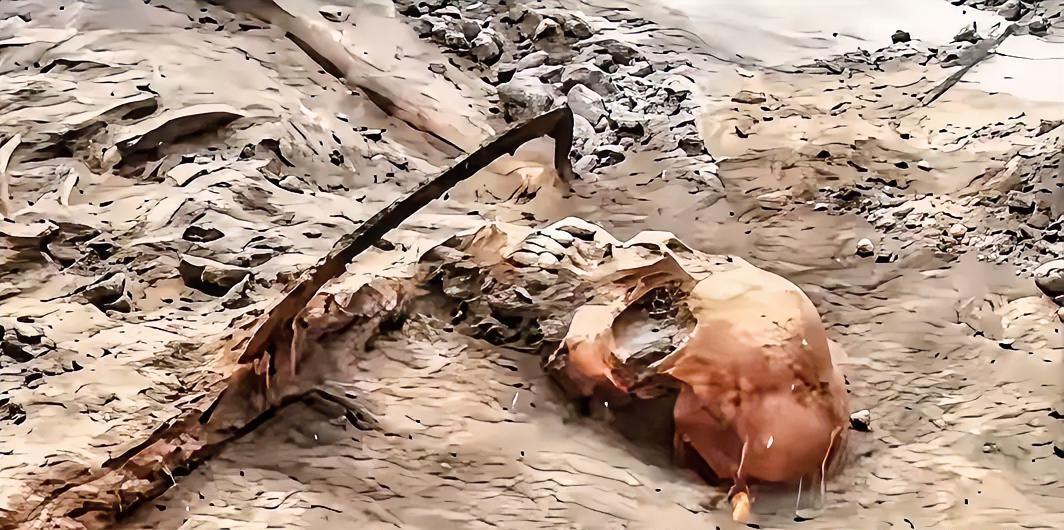 1068具遗骸，整整在土里埋了83年。就在前两天，河南舞钢挖出来的。如果不动土，