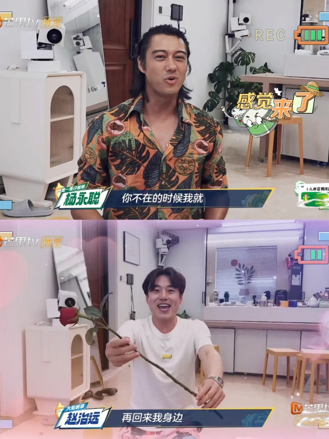 杨永聪这俩，精神状态哈哈太刺激了