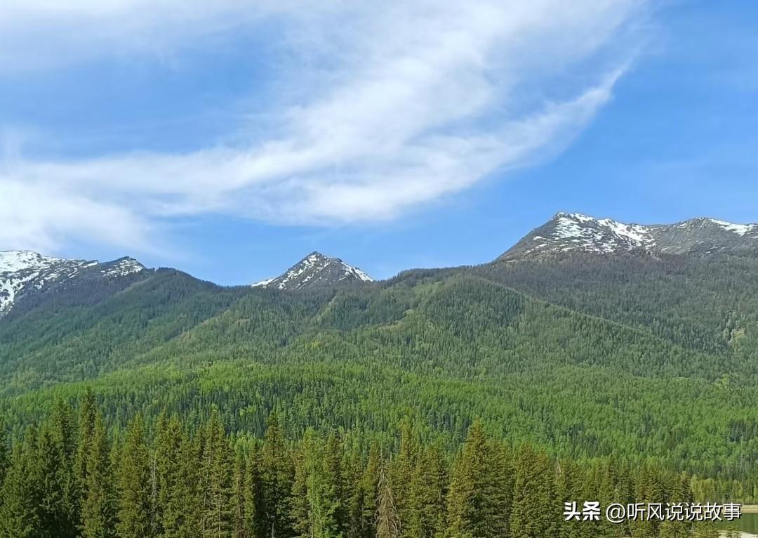 ❤️执着于理想，纯粹于当下。爱人如养花，最好的花匠应该是你自己。枯木会逢春，我们