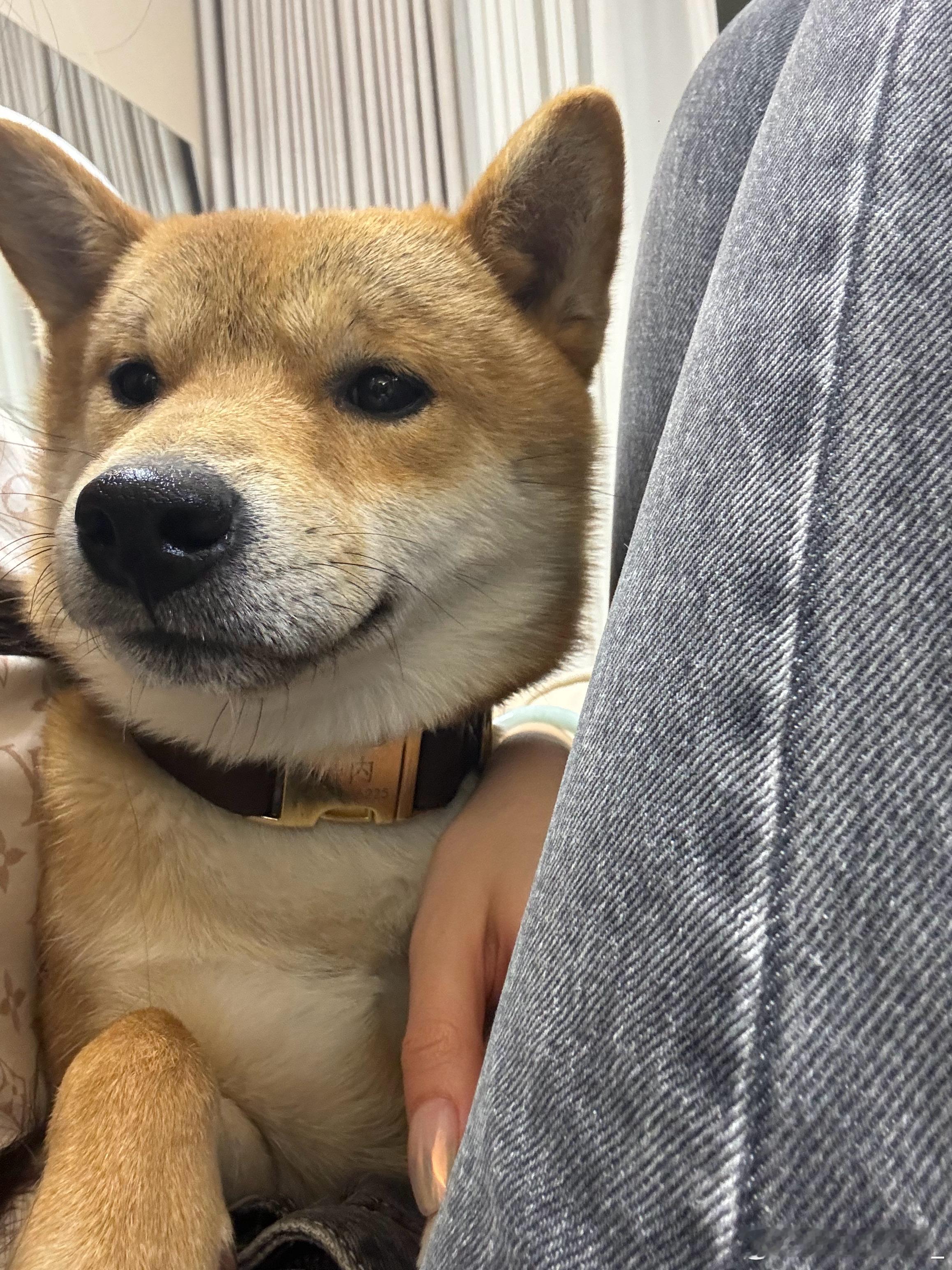 怎么长成这形状的脑袋了[微笑] ​​​