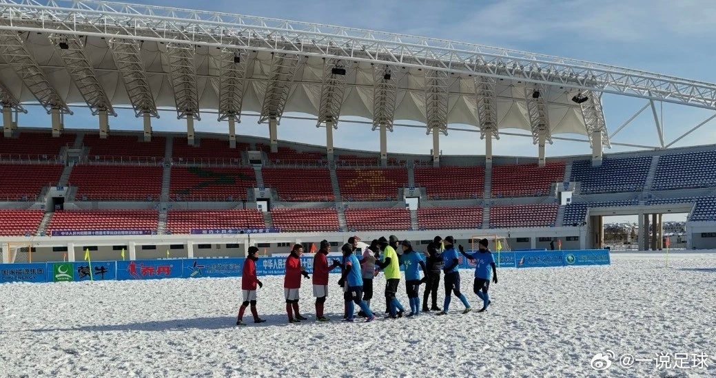 可以加一个雪地足球赛！我国冬运会也是有雪地足球赛的。记得2019年底，湖北击败战