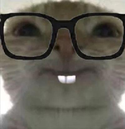 视力 鼠鼠