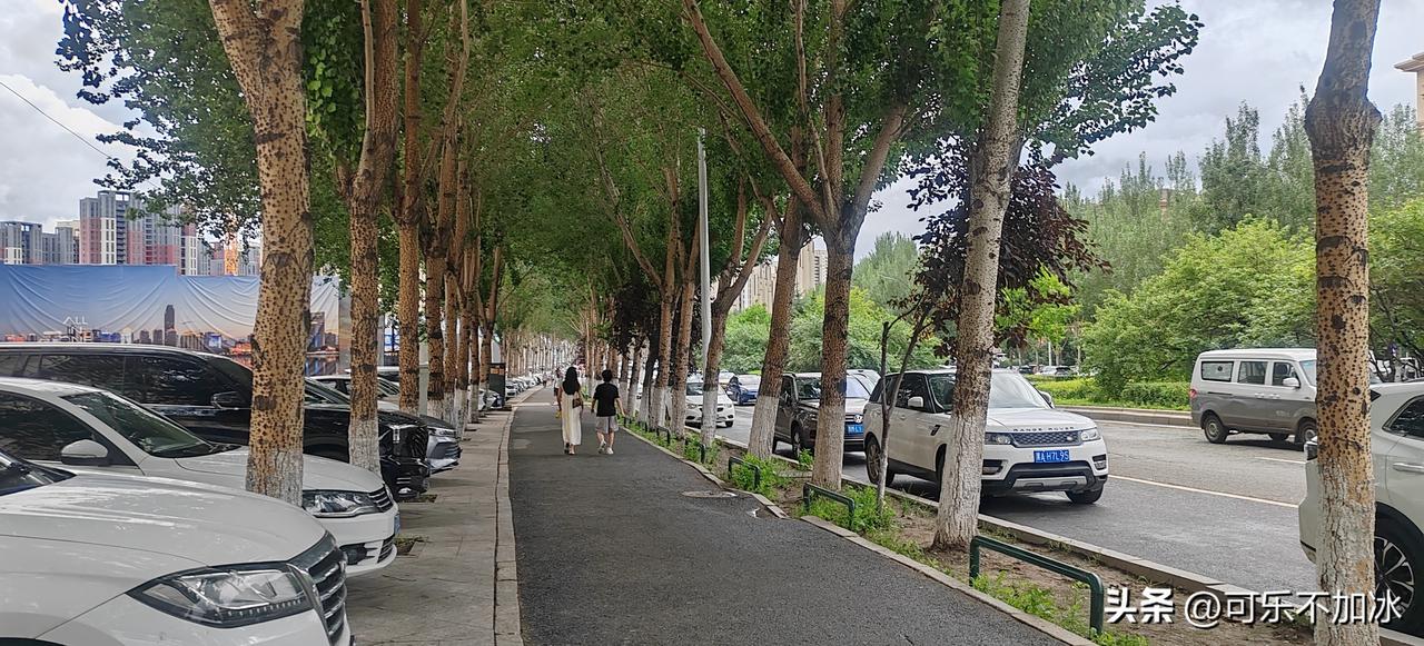 出门溜达，随手拍了几张路边的景色，越看越觉得咱们哈尔滨的街道，藏着最踏实的烟火气