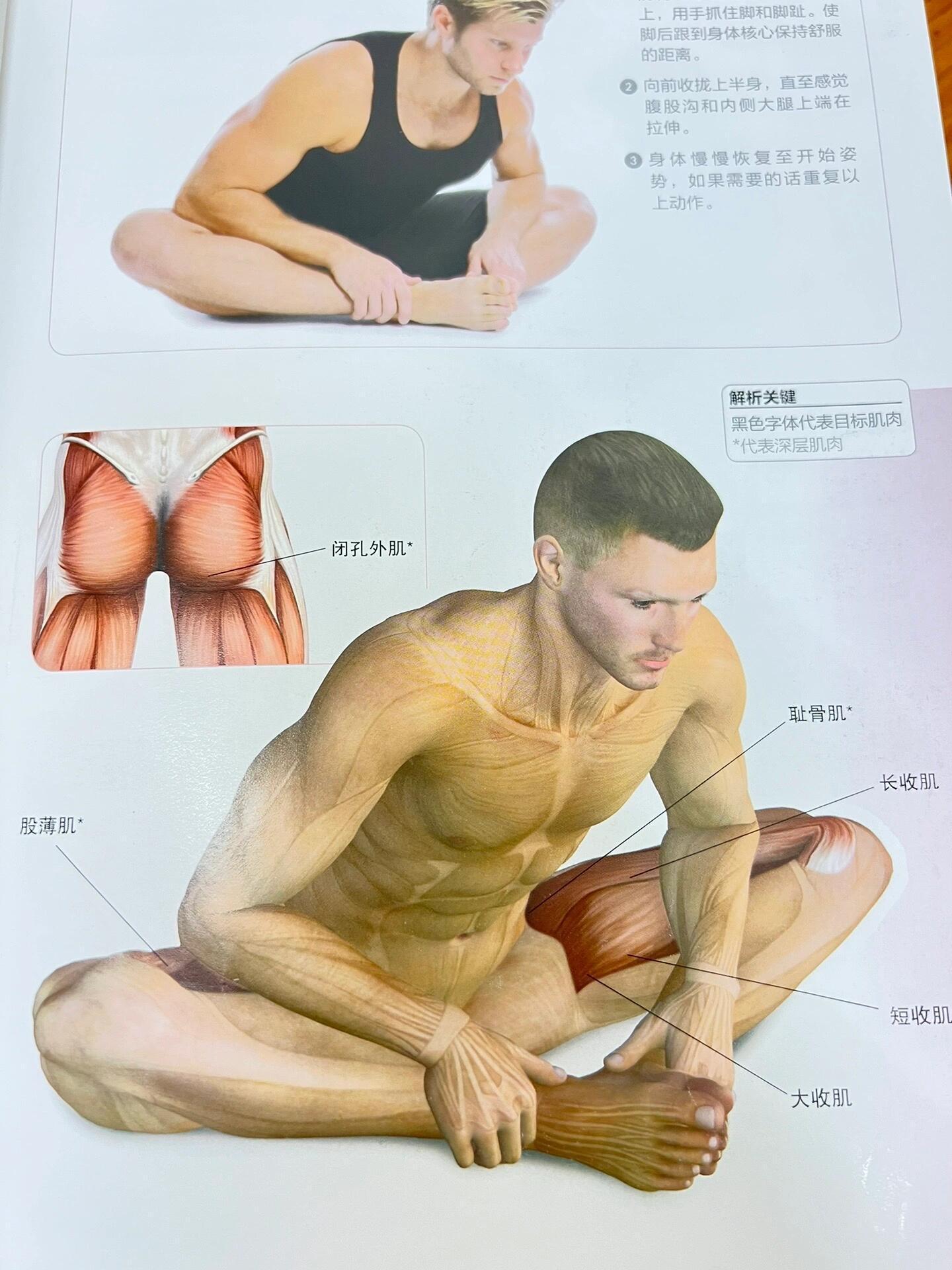 不愧是最伟大的拉伸❗️你可以永远相信人民日报。 