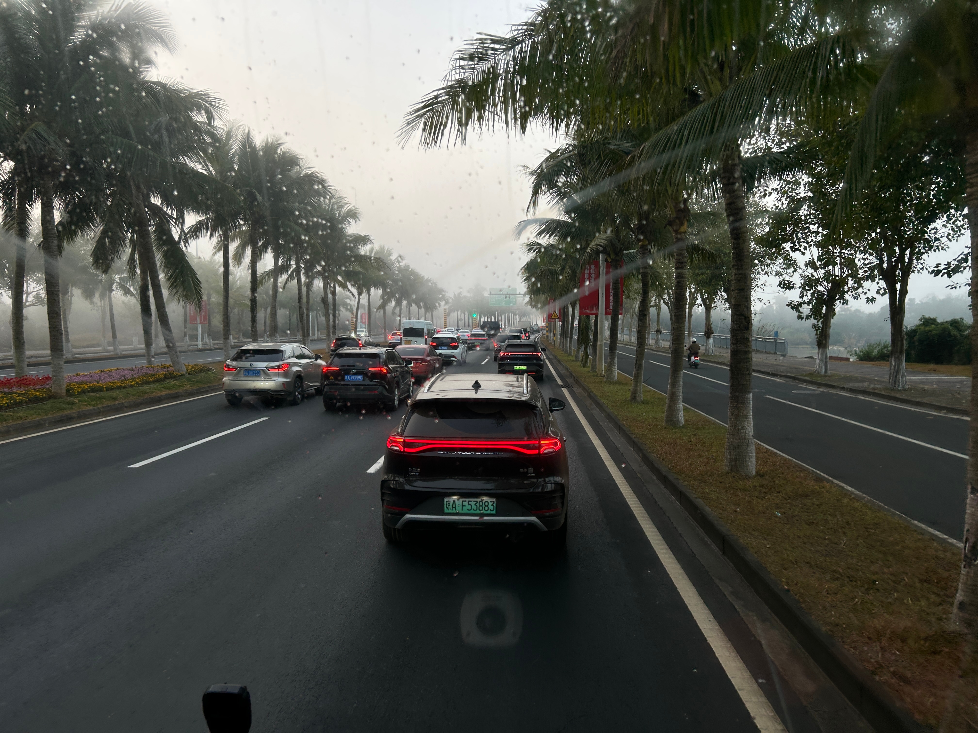 不知道是不是老了，冬天开始喜欢南方了，是不是年龄越大越娇气啊？生活记录