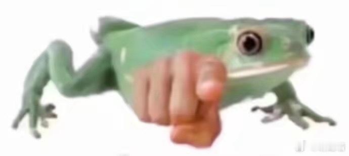 被指到的人这个夏天不会被蚊子咬 