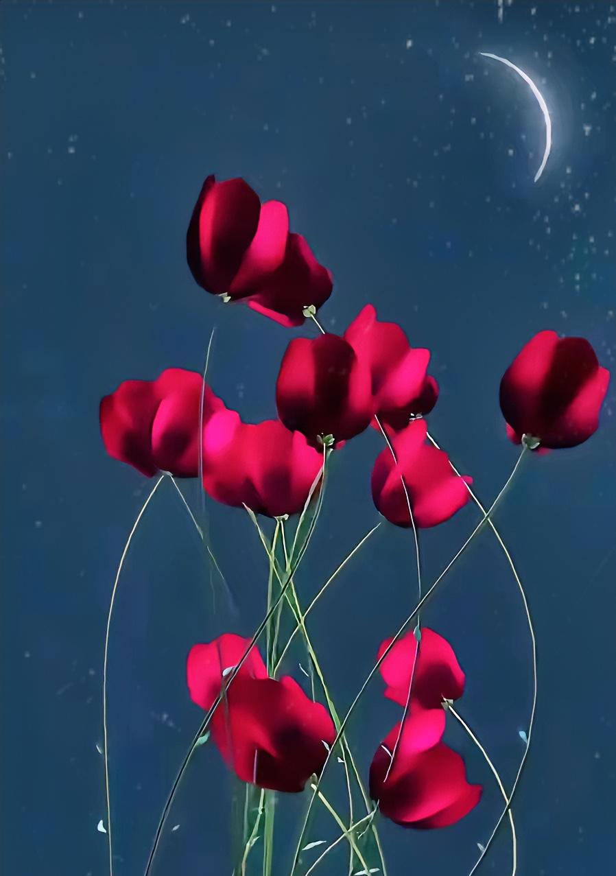 钱，是成年人最硬的底气

没钱时，连说‘我没空’都要掂量三分，有钱了，才能坦然说