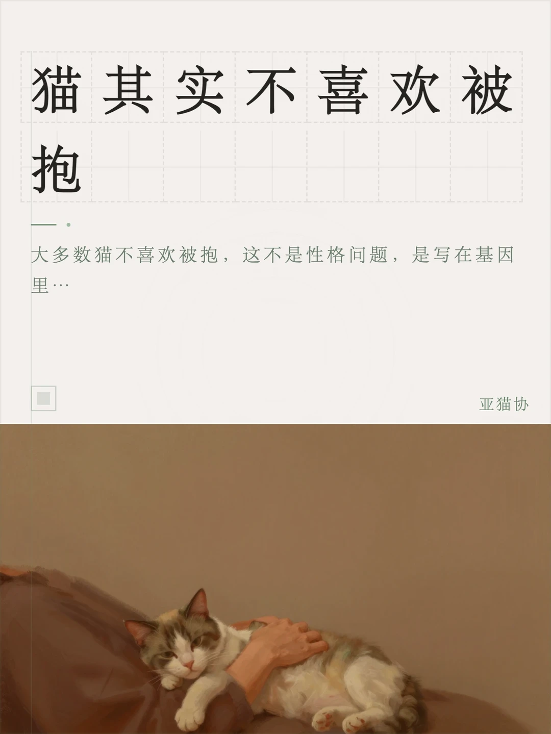 猫其实不喜欢被抱