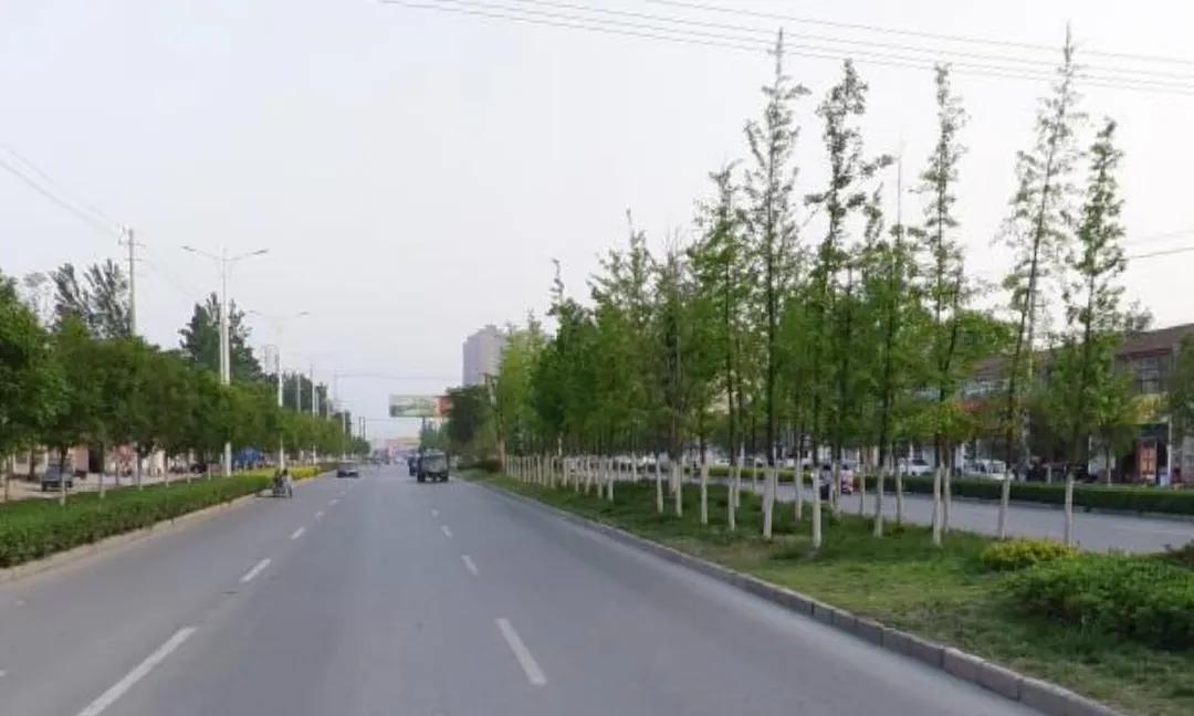 砀山县是安徽省最北部的一座城市，是安徽省宿州市管辖下的一座县城。砀山县的梨子产业
