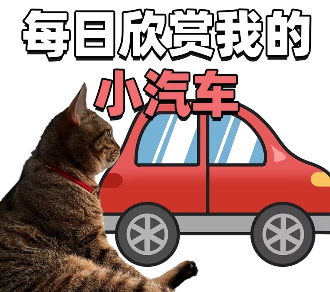 当一个人同时拥有电动车和汽车太真实了：自己开车时最受不了行人和电动车乱窜，自己骑