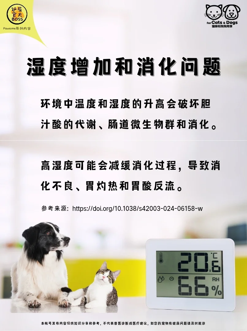 湿度增加和消化问题