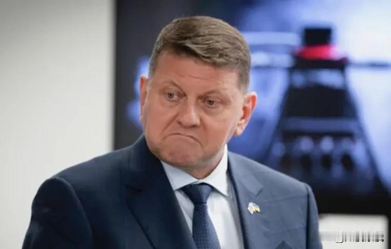 扎卢日尼称，一旦乌克兰士兵从前线返回家乡，乌克兰可能会爆发内战。

按照乌军前总