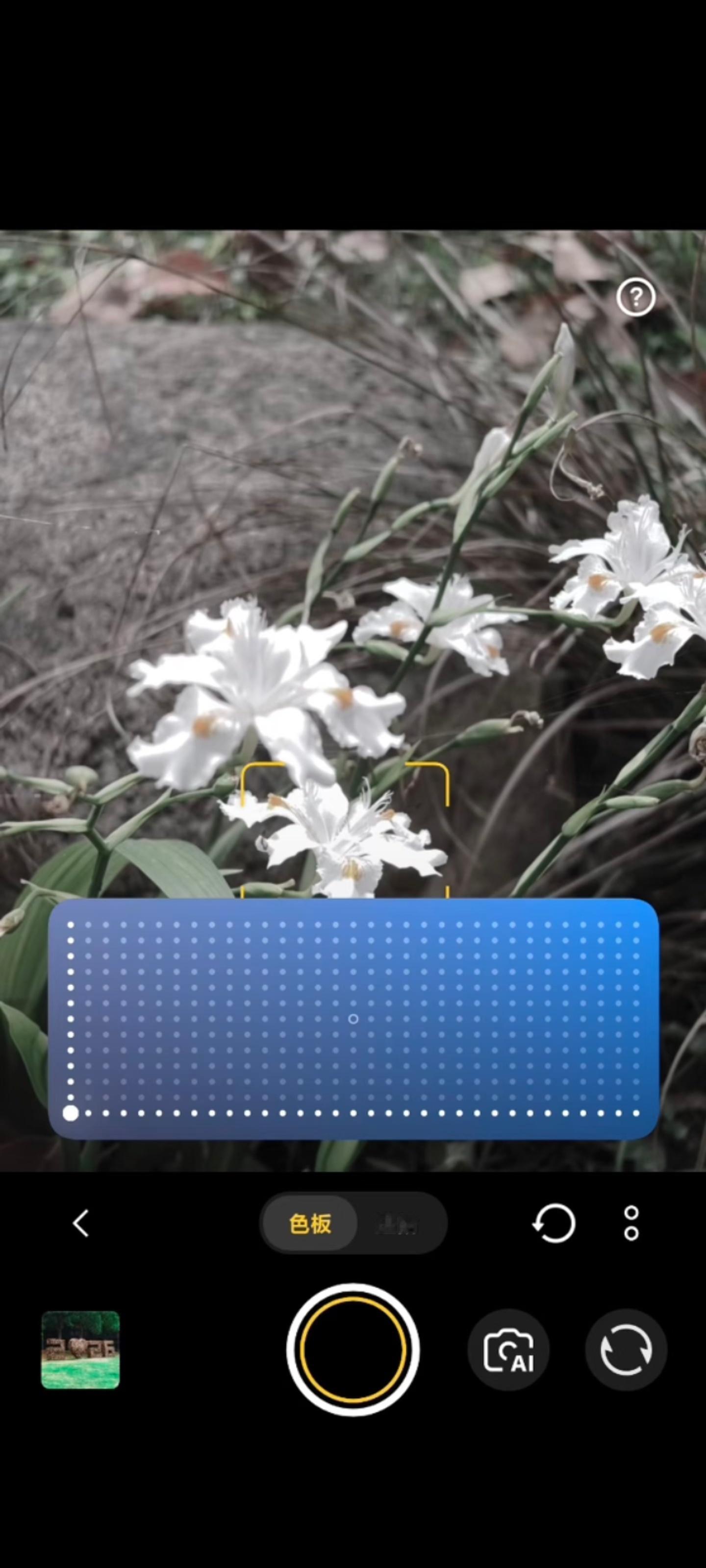 vivo X300s调色盘真的不错诶喜欢什么色调风格可以自行调节，还有一些热门的